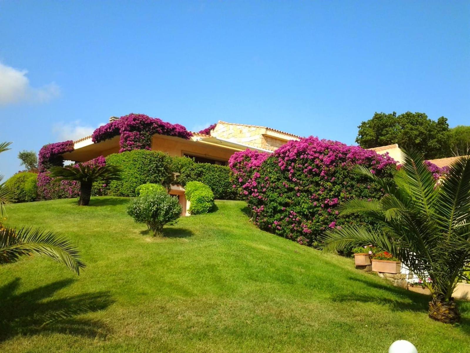 Hotel La Casa Del Mirto Palau Esterno foto